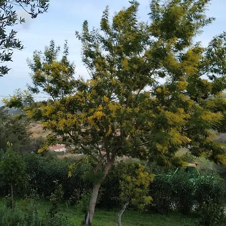 Monolocale Belvedere Su Porto Rotondo
