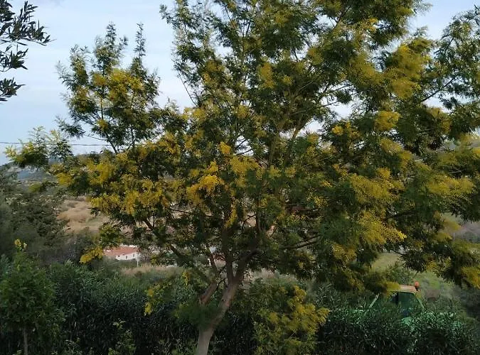 Monolocale Belvedere Su Porto Rotondo
